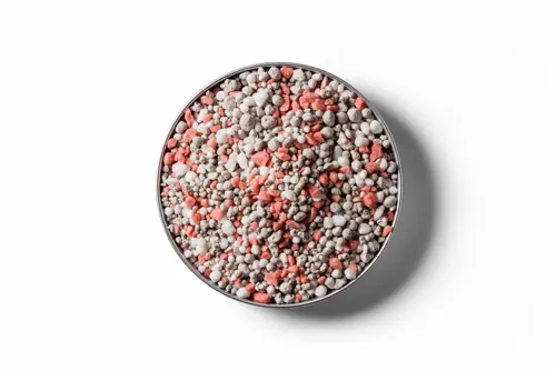 250403 RVD Dairy Pasture Boost 4