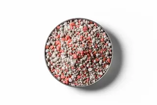 250403 RVD Dairy Pasture Boost 10