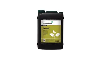 Beetril 20L 700X420