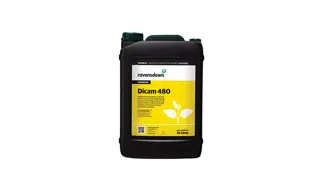 Dicam 480 20L 700X420