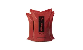 Proteor 25KG 700X420
