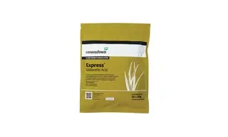 Express 20KG 700X420