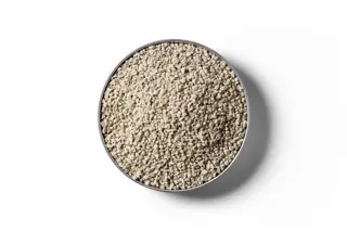 250403 RVD Ferrous Sulphate