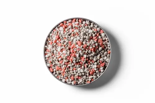 250403 RVD Dairy Pasture Boost 6